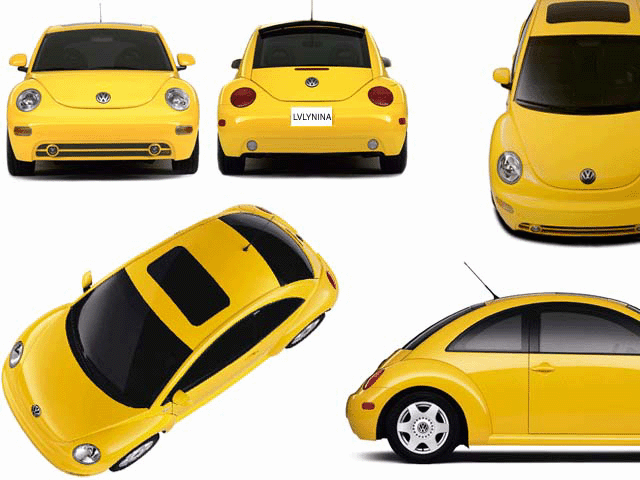 Beetle Collage